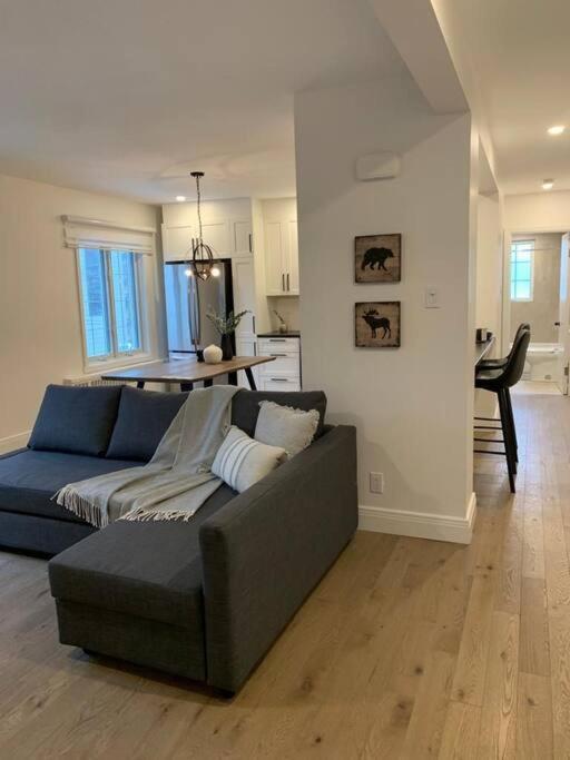 Free Parking, Beautiful 4 1/2- 2 Bedroom Apartment Montréal Exterior foto